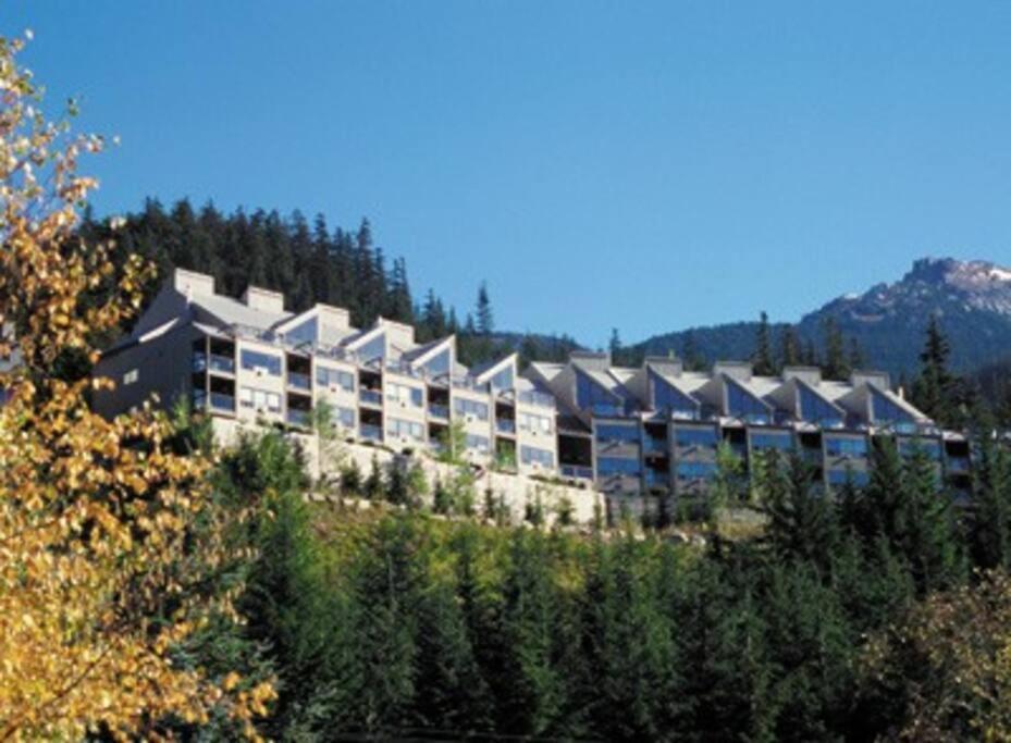 Appartement Amazing Views 2 Br/2 Ba In Out *